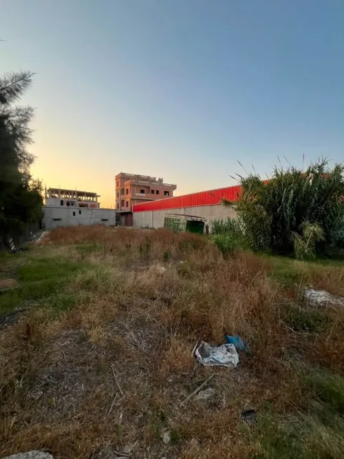 Location Terrain Alger Birtouta 17