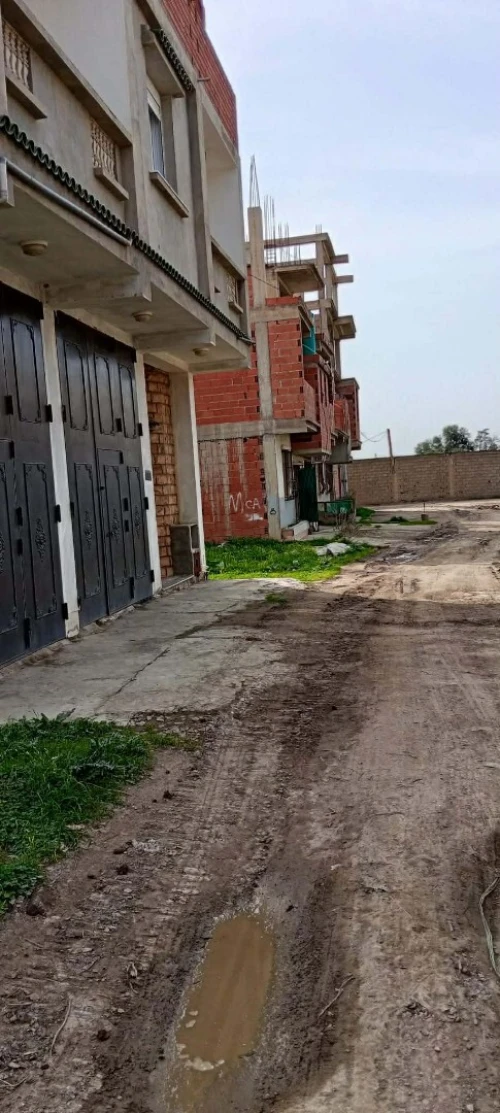 Vente Terrain Alger Sidi moussa