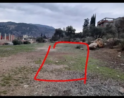Vente Terrain Sétif Beni chebana