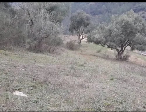 Vente Terrain Sétif Beni chebana