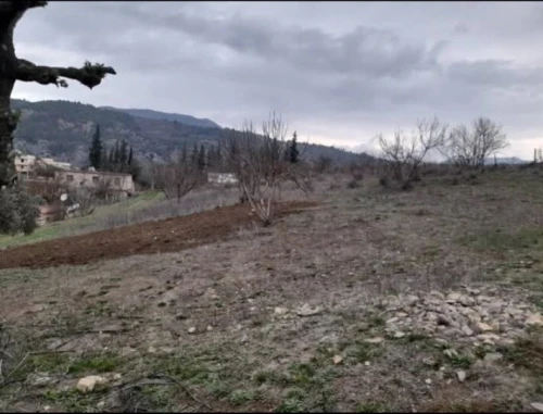 Vente Terrain Sétif Beni chebana