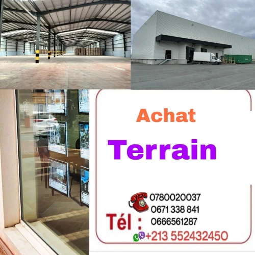 Cherche achat Terrain Aïn Defla Ain defla