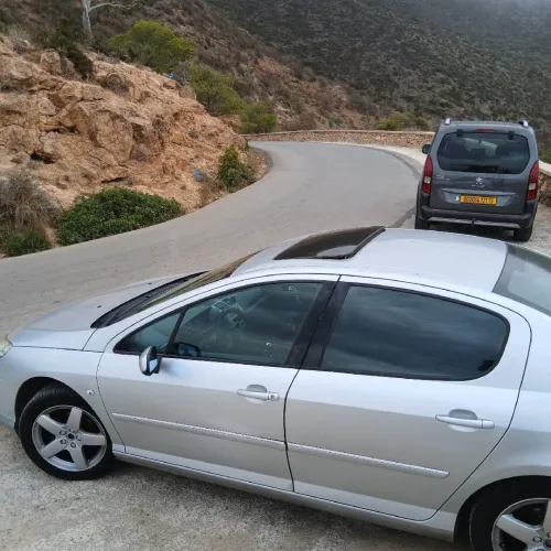 Peugeot 407 2007 Executive