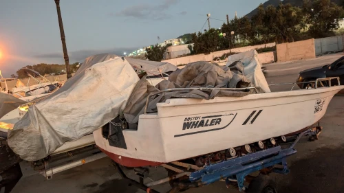 Boston Whaler Boston Whaler 