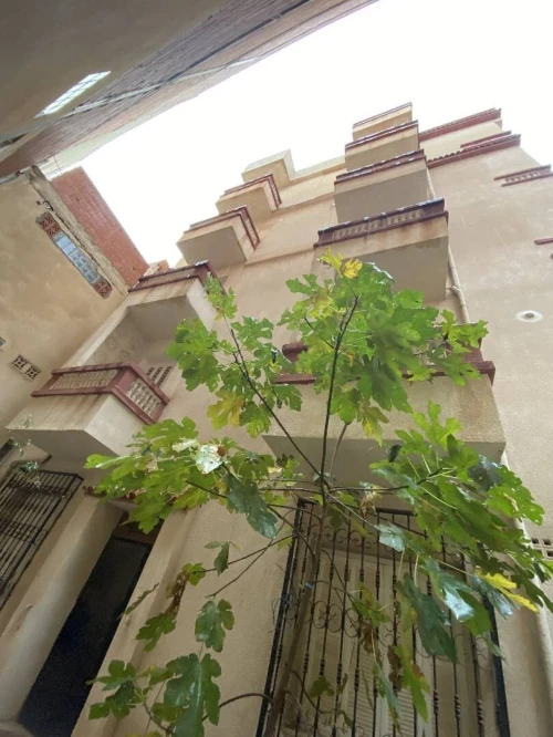 Location Villa Alger Said hamdine