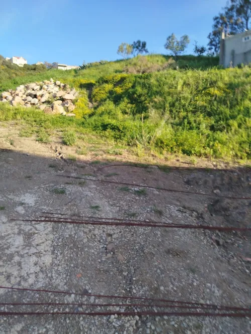 Vente Terrain Tizi Ouzou Tigzirt