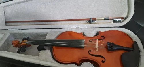 Violon 