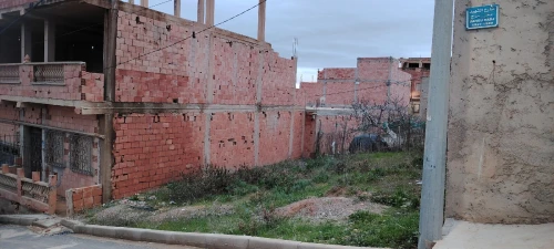 Vente Terrain Tlemcen Sebaa chioukh