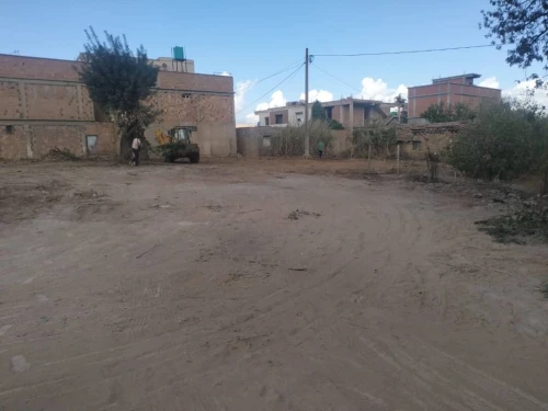 Vente Terrain Aïn Defla Ain defla