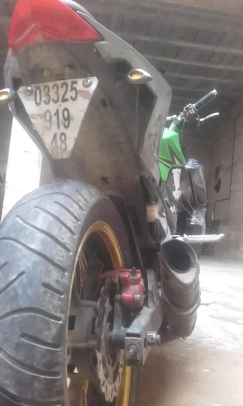 GVT CG 2019
