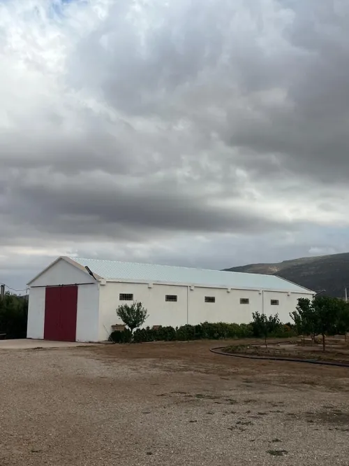 Vente Terrain Batna Boumia