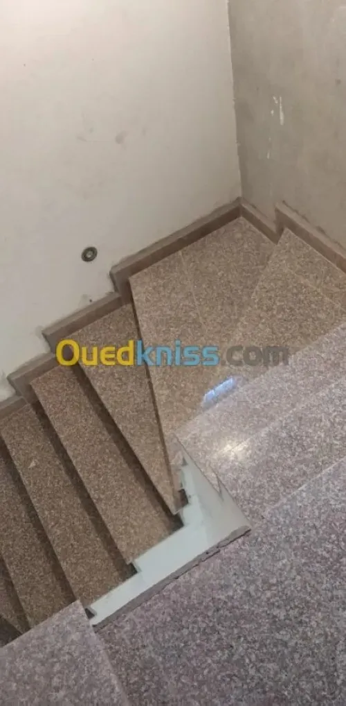 متخصص في جميع انواع التبليط ذو خبرة carreleur professionnel 