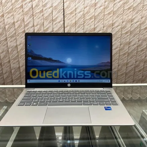 HP ELITEBOOK 465  G11/RYZEN 5-7535U/16 gb ddr5/512 SSD/AMD RADION TM  graphique/ecran 15.6  flhd+