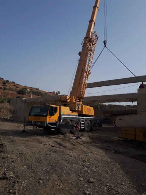 Location grue 