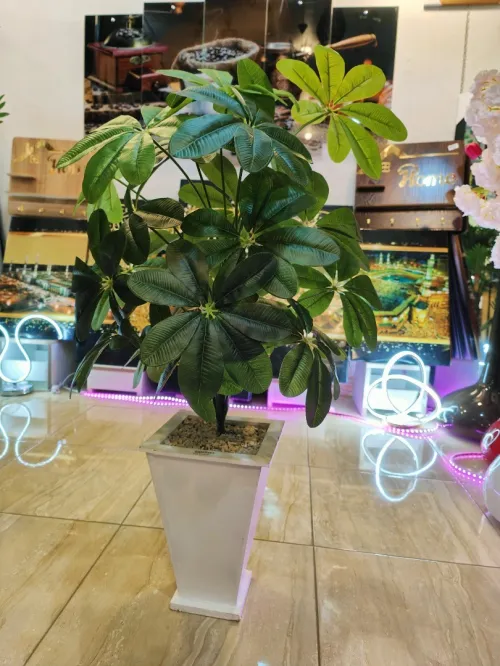 Plant artificial أشجار الزينة الصناعية 