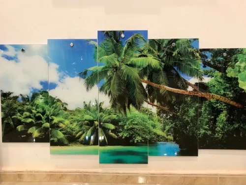 لوحة زخرفية عصرية من الزجاج مناظر طبيعية Cadre Décoratif Moderne En Verre 5 Pies Tableau la natur