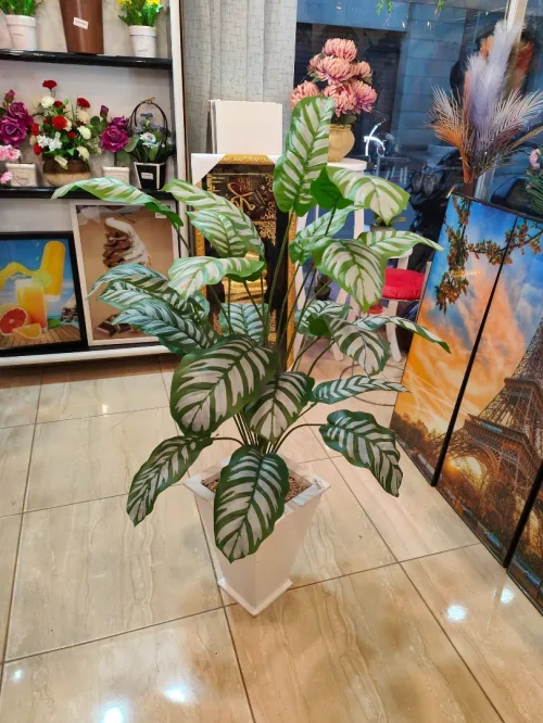 Plant artificial أشجار الزينة الصناعية 