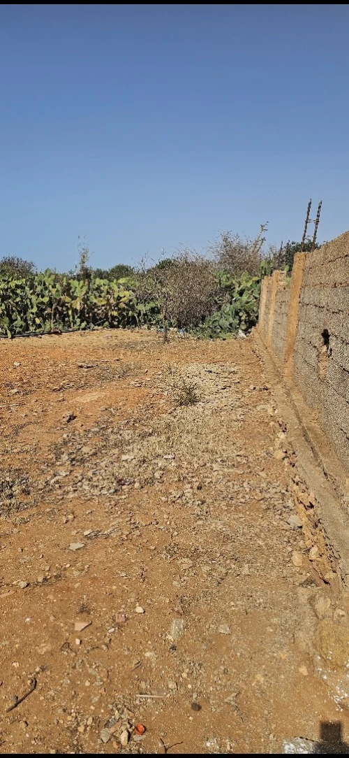 Vente Terrain Mostaganem Sidi lakhdaara