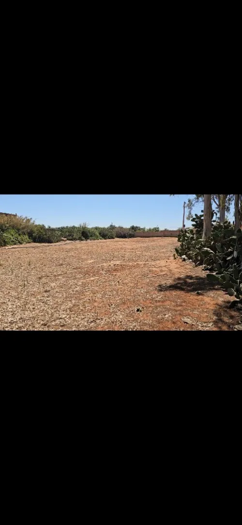 Vente Terrain Mostaganem Sidi lakhdaara