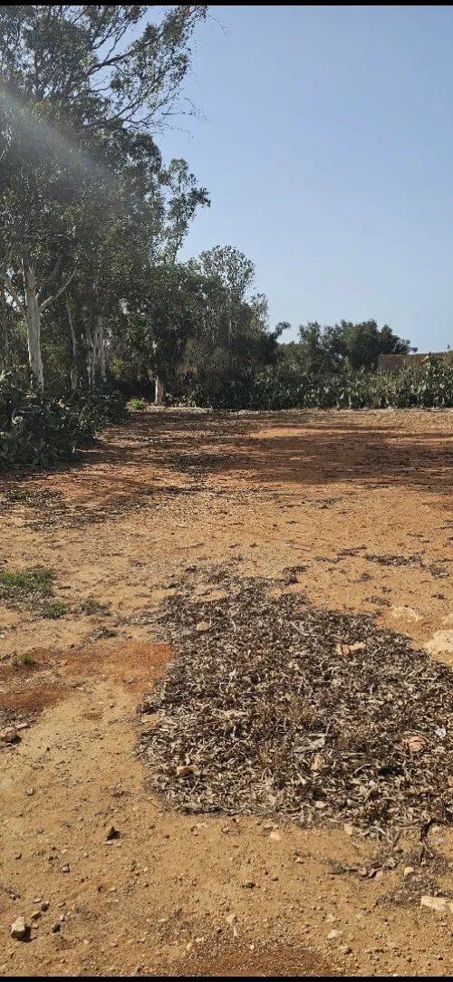 Vente Terrain Mostaganem Sidi lakhdaara