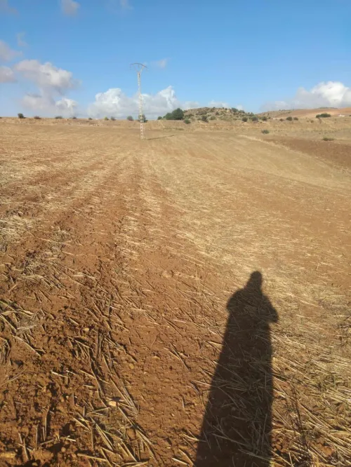 Vente Terrain Aïn Defla Djendel