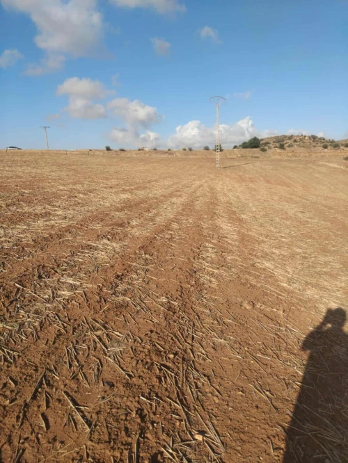 Vente Terrain Aïn Defla Djendel