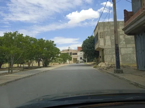 Vente Terrain Souk Ahras Bir bouhouche
