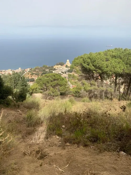 Vente Terrain Alger Bouzareah