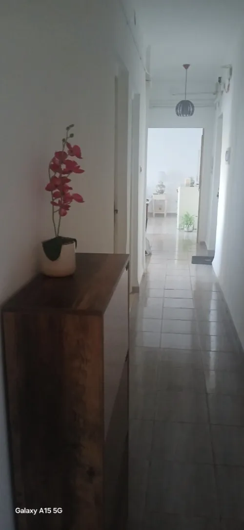 Vente Appartement F3 Alger Mahelma