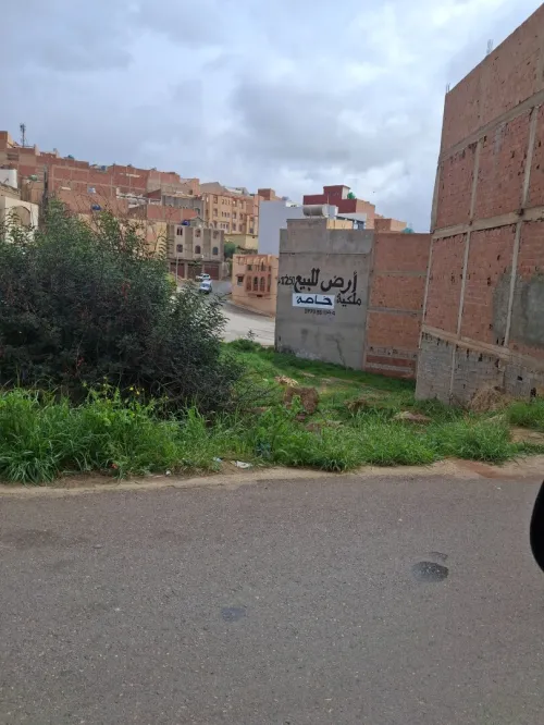 Vente Terrain Tlemcen Maghnia