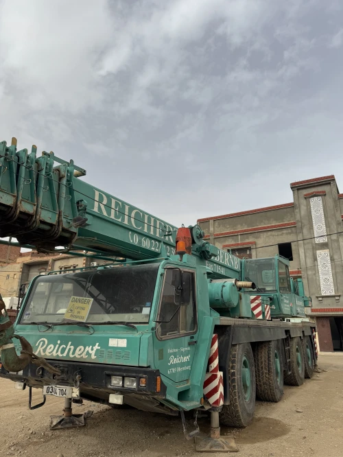 Grue liebherr للكراء 2004