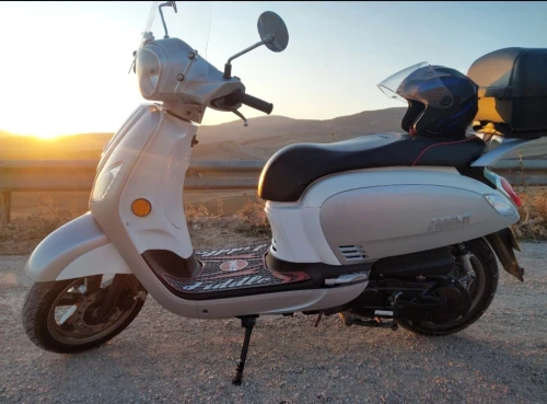 Sym Fiddle 3 2024