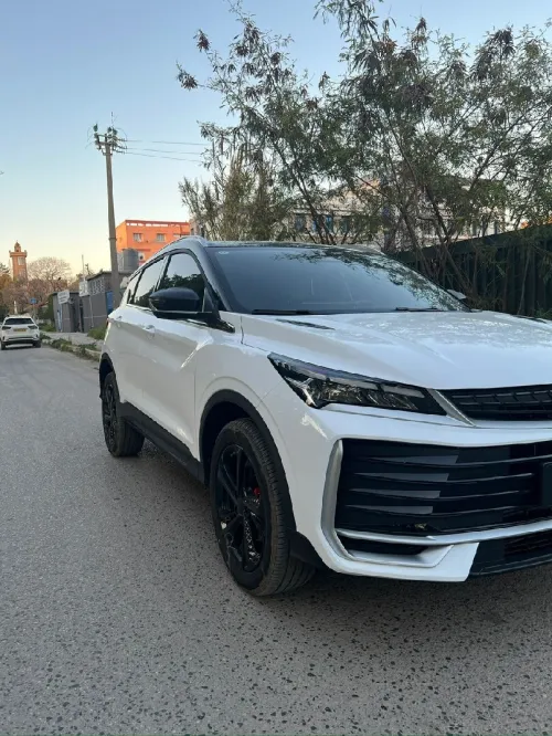 Geely Coolray 2025 Fool option