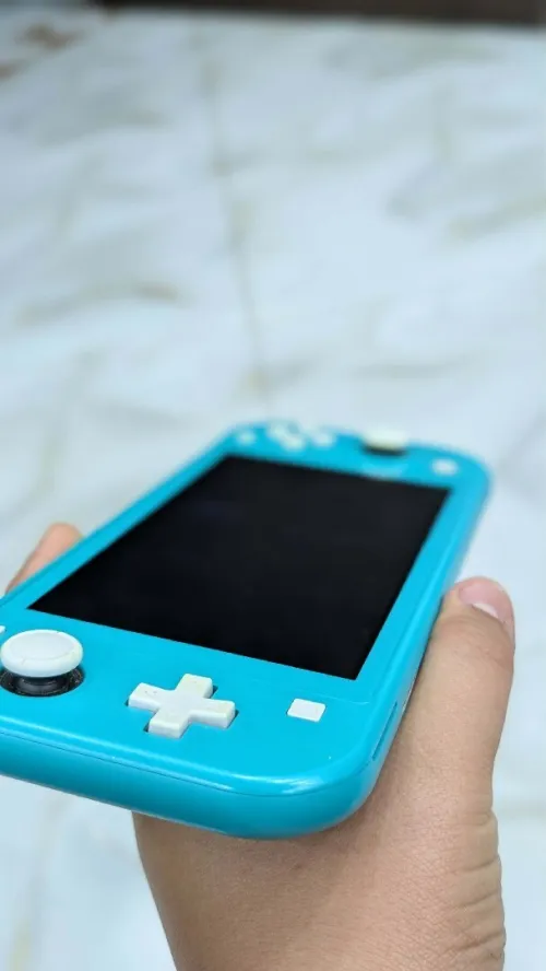 Switch Nintendo lite
