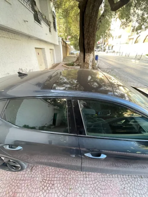 Cupra  Leon 2024 