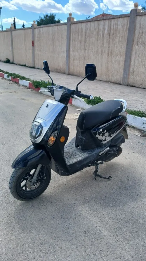 VMS Estate x 2025