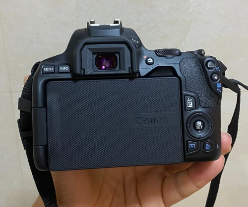 canon eos 250D