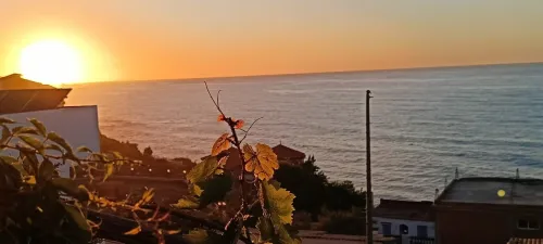 Location Bungalow F3 Béjaïa Toudja