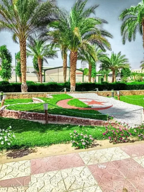 تهيئة للمساحات الخضراء Casun naturel