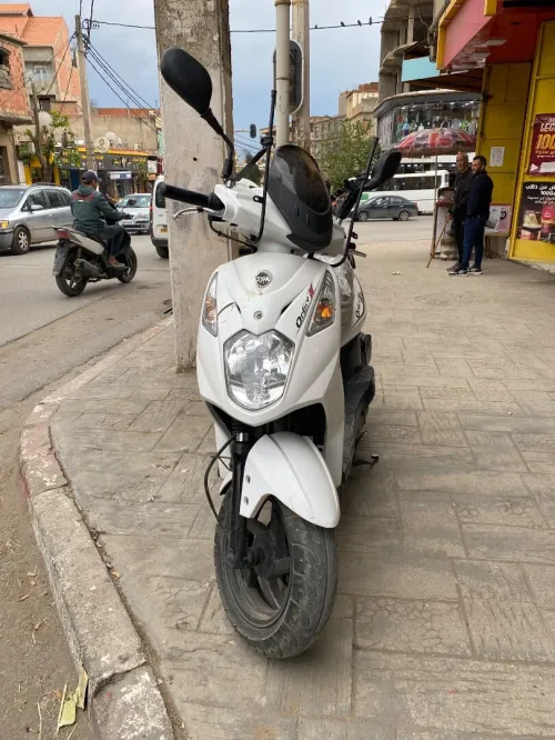 Orbit2 Sym 2020
