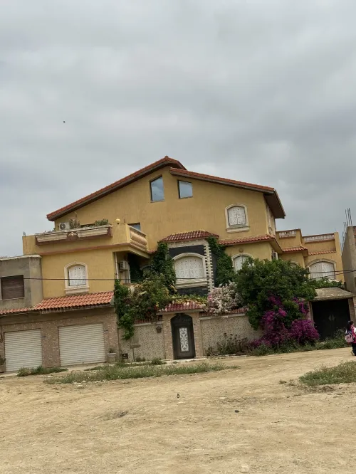Vente Terrain Chlef Boukadir