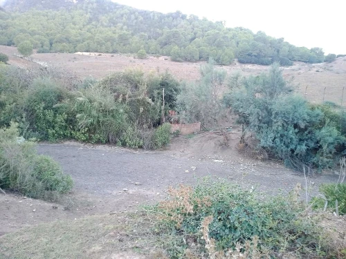 Vente Terrain Tipaza Cherchell