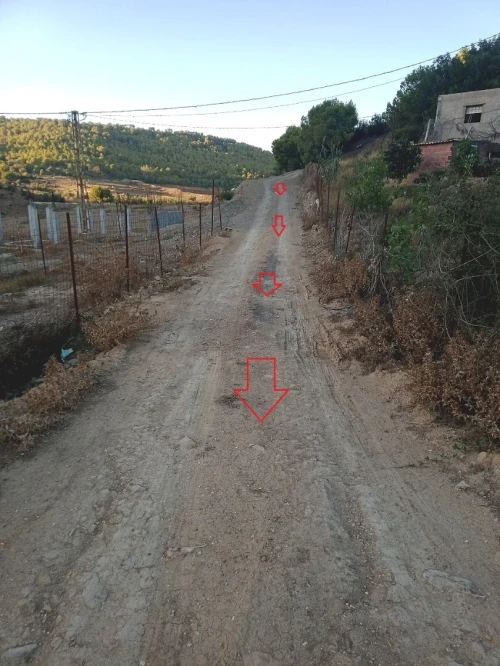 Vente Terrain Tipaza Cherchell