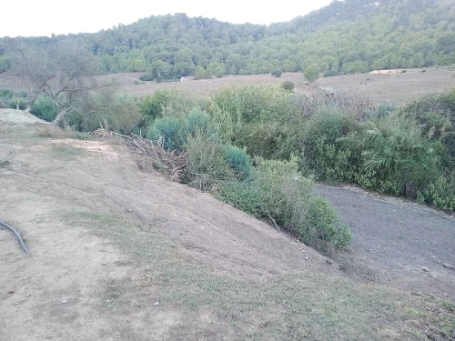 Vente Terrain Tipaza Cherchell