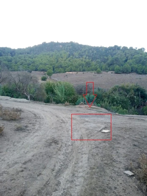 Vente Terrain Tipaza Cherchell