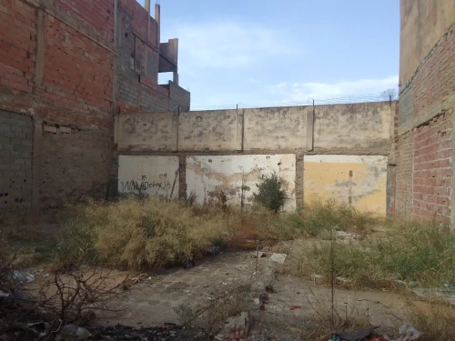 Vente Terrain Blida Blida