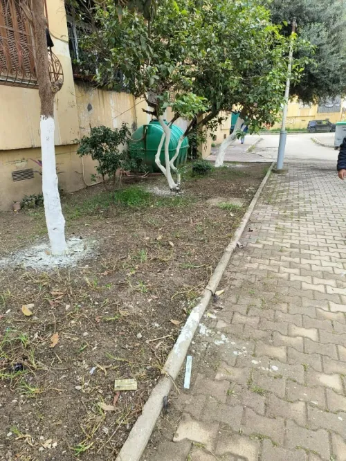 Vente Appartement F4 Blida Boufarik