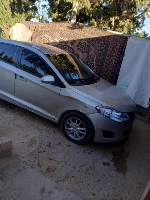 Chery Fulwin 2013 A13A