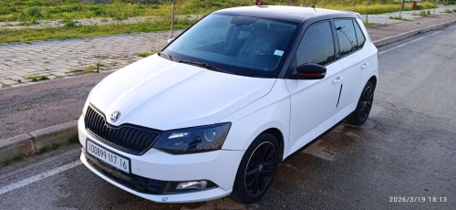 Skoda Fabia 2017 Monte Carlo
