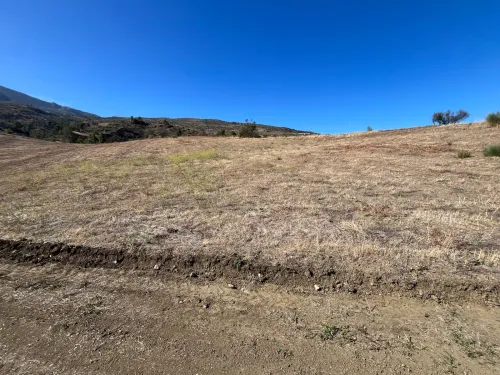 Vente Terrain Agricole Béjaïa Seddouk